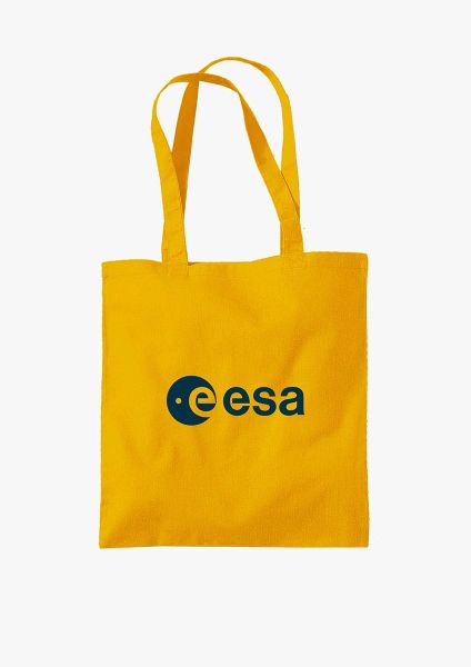 Dinosaurs didn't have a space agency Shopper Bag