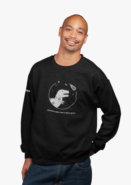 Dinosaurs didn't have a space agency Sweatshirt