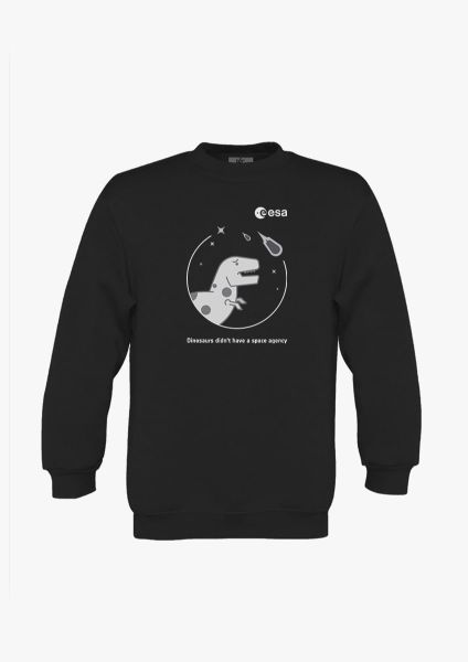 Dinosaurs didn't have a space agency Sweatshirt for children